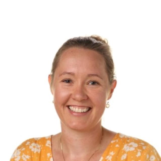 Lise Lysholt Hansen (LH)